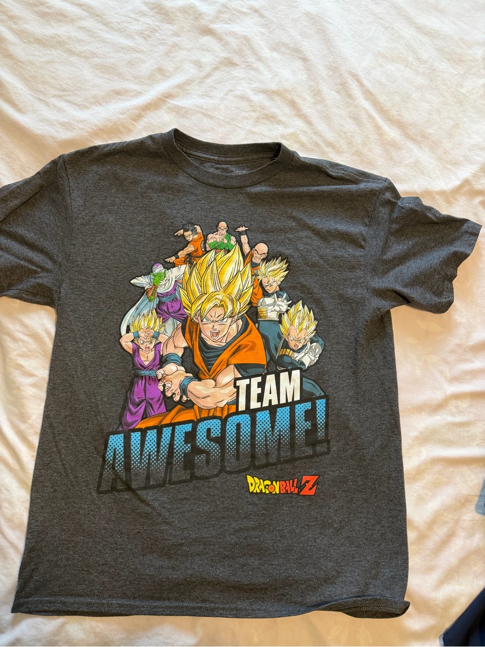 Dragon Ball Z Team Awesome" Graphic Tee - Charcoal